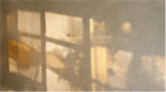 Warm sunlight and window shadows on a wall